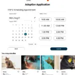 HiFiDesktop_App2nd