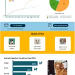 Shelter_Dashboard1