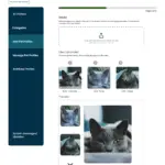 Shelter_Dashboard4